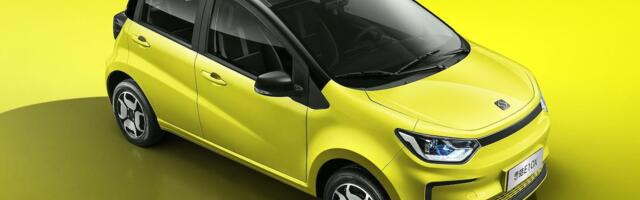 The Electric: Do Western Car and Battery Companies Have a Sodium Blind Spot?