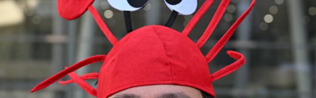 Chinese tech enthusiasts ‘raise lobsters’ in latest AI craze