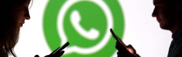 WhatsApp new feature: Messaging app tests ‘Guest Chat’ that lets users text people without an account