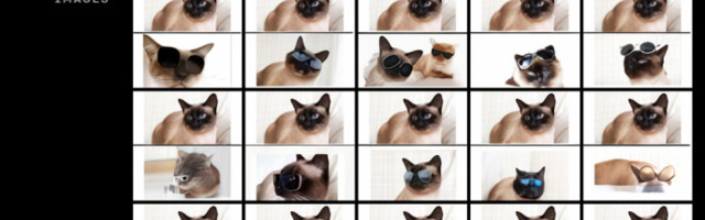 OpenAI’s DALL-E creates plausible images of literally anything you ask it to