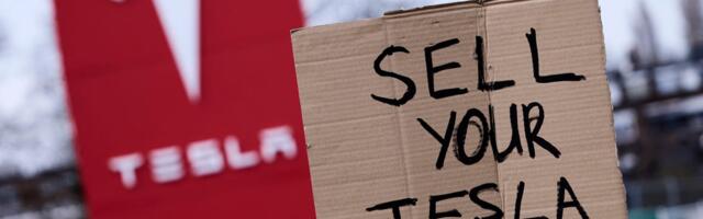 4 Tesla owners share what it's like owning the EV among Musk backlash and protests