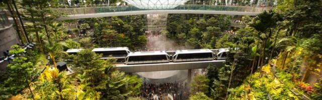 Singapore Becomes First Country to Tax Air Travelers for Green Jet Fuel