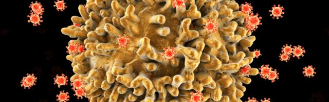 Achieving lasting remission for HIV