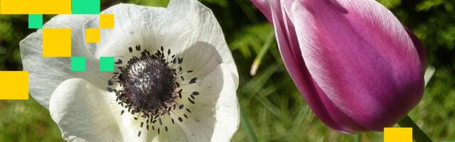 Crypto Markets Today: Bitcoin Holds Near Weekly High, Altcoins Remain Subdued