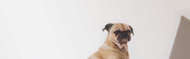 Как фрилансеру построить успешную карьеру