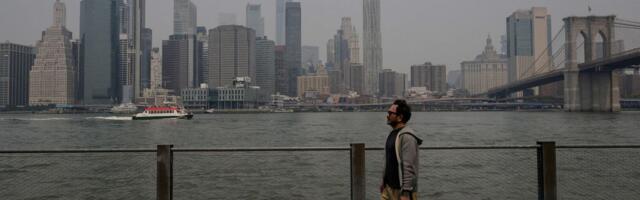 If you can’t breathe well, neither can your pet