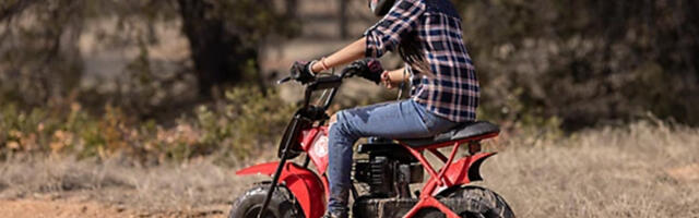 5 Cheaper Alternatives To Coleman Mini Bikes