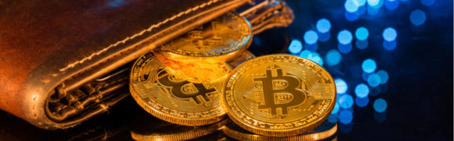 38% Of Americans Surveyed Skipped on Paying an Important Bill To Hold Their Crypto