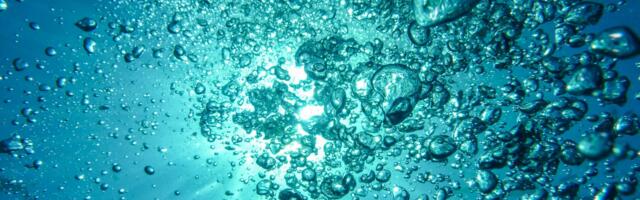 Twenty primary schools in 14 coastal counties to compete for Ocean Champion Awards