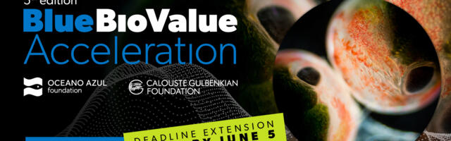 Blue Bio Value Acceleration: Final Call! (Sponsored)