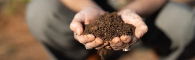 The false climate solution that just won’t die