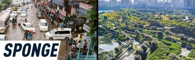 In a race against extreme floods, some cities look to nature