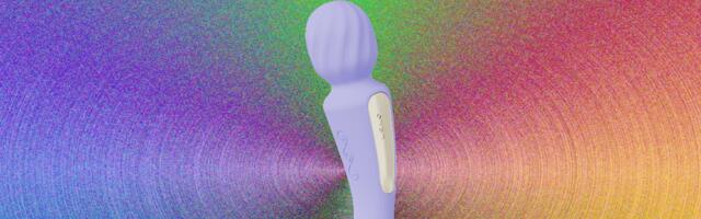 Lelo Switch Review: Dual-Ended Vibrator