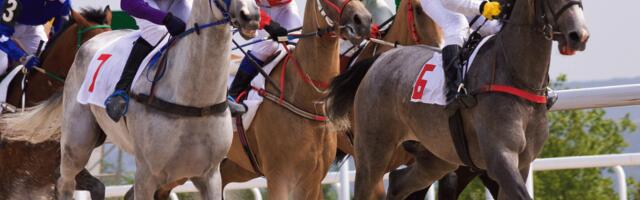 Entain announces it will end Coral Cup sponsorship after 52 years