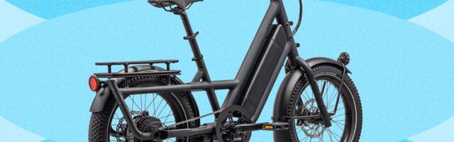 Best Electric Cargo Bikes (2026): Urban Arrow, Lectric, Tern, and More