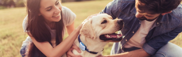 Tractive raises £24M to help you track your pet; plans UK expansion
