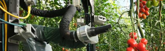 YC-backed robotics startup Four Growers secures $9M Series A to tackle greenhouse labor shortages with AI robots