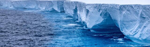 We have a surprising underwater ally in combatting climate change: zooplankton