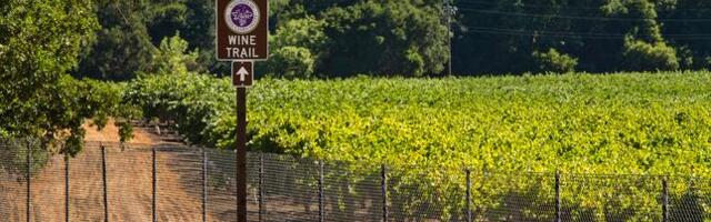 Santa Clara County Board approves office to reinvigorate agriculture, unincorporated lands