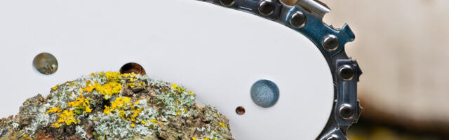What Does 'Full Chisel' Mean For A Chainsaw Chain?