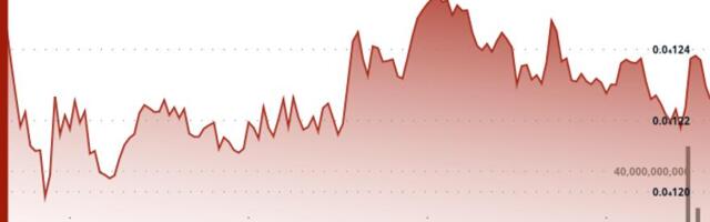BONK Falls 3.9%, Sliding Below Support