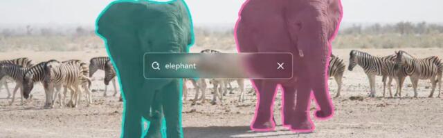 Meta's New AI Models Aren't Llamas, but They Are Used in Wildlife Conservation Research