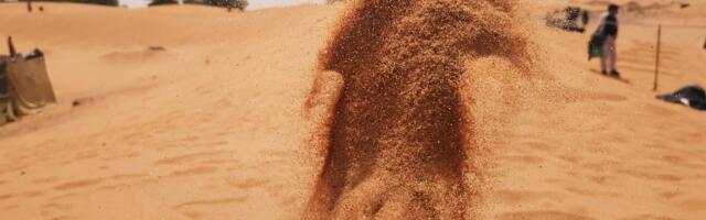Bitcoin Treasury Firms' 'Dry Powder' Could Push Prices Up Significantly: NYDIG