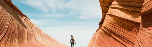 10 Biggest Online Travel Agencies: Booking and Airbnb Gain Ground