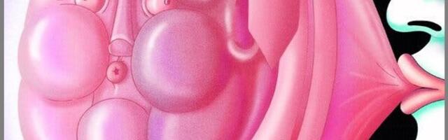 Новый пузырь или фундаментальный рост?