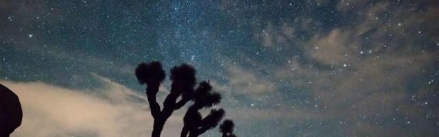 A Meteor Shower Peaks This Week: How to See It in the Night Skies
