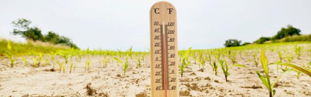 Heat Wave Safety: Track Your Risk With This Online Tool