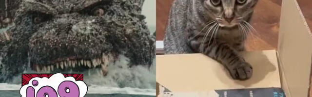 Godzilla Minus One‘s Director Really Wants You to Know He’s a Cat Guy