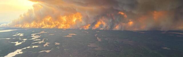 Trump Says Roads Prevent Wildfires. The Truth Is More Complicated