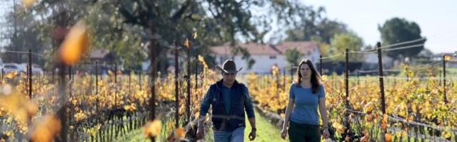 Then a farmworker in Napa, now he owns a label: A Latino’s journey for visibility in a challenging industry
