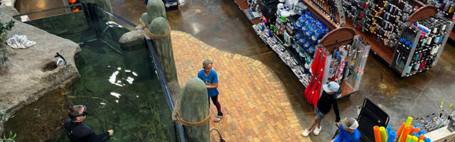 5 Services You Probably Didn't Know Bass Pro Shops Offers