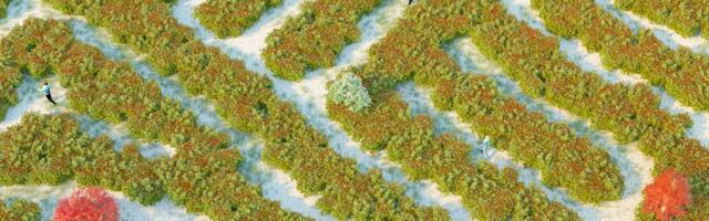 How to foster your purpose wherever you are in life