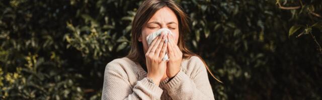 Pollen Season Is Here. Allergy Hacks and Apps to Stay Healthy