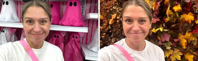 I shopped at Michaels and Hobby Lobby for fall decor. The winner really depends on which holiday you're shopping for.