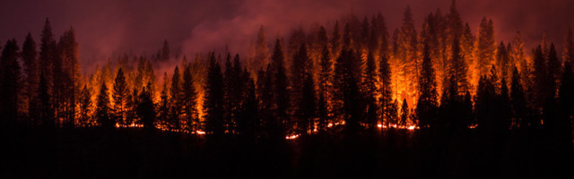 How Digital Money Is Leading The Way To Help People Affected by Natural Disasters