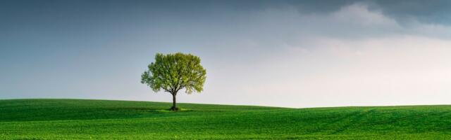 1% for the Planet Launches Philanthropic Fund to change the Environment
