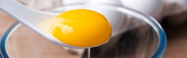 Not Getting Enough Sunlight? These 11 Foods Are Rich in Vitamin D