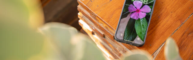 Wallpaper Wednesday: More great phone wallpapers for all to share (March 11)