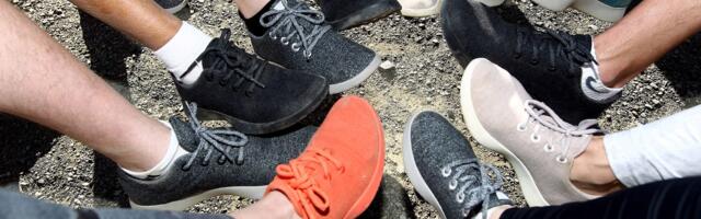 I have an Allbirds collection that I love, and its AI pivot feels worse than poorly-fitting shoes