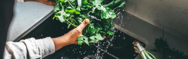 A parasite that causes diarrhea has been detected in 31 states: How to prepare food and what to avoid