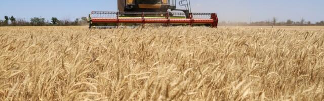 The world is producing more food crops than ever before