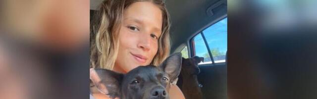 Delta passenger’s dog who went missing in route to San Francisco found safe after 3 weeks