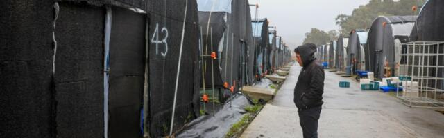 Half Moon Bay massacre: A year later, struggle for better farmworker housing drags on