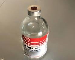 NEMBUTAL FOR SALE IN SOUTH AFRICA +27717819845