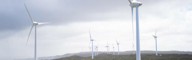 Offaly to Rival Europe’s Key Cities as Green Data Centre Hub