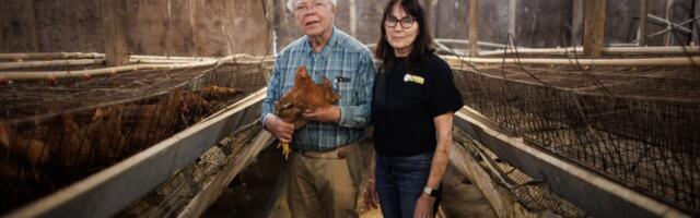 San Jose’s Olivera Egg Ranch to close after 76 years